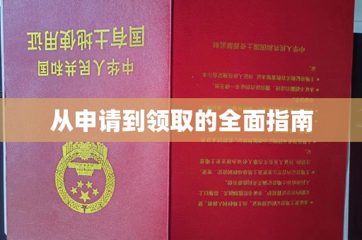洛宁从申请到领取的全面指南