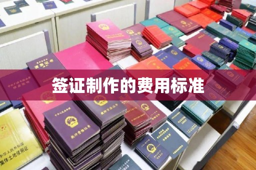洛宁签证制作的费用标准