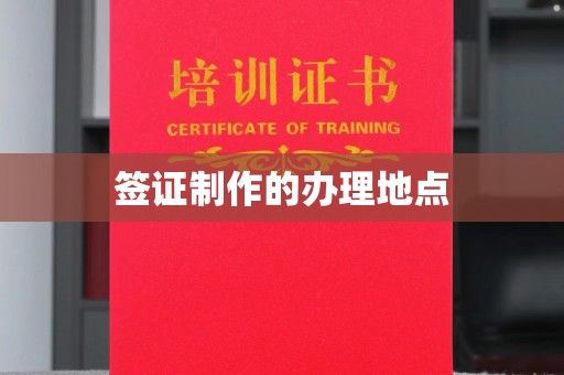 洛宁签证制作的办理地点