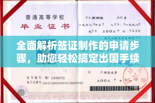 洛宁全面解析签证制作的申请步骤，助您轻松搞定出国手续