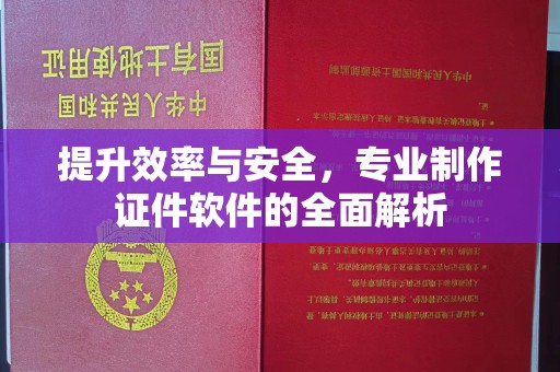 洛宁提升效率与安全，专业制作证件软件的全面解析