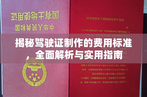 洛宁揭秘驾驶证制作的费用标准，全面解析与实用指南