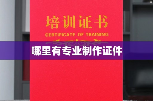洛宁哪里有专业制作证件