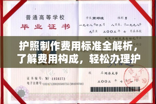 洛宁护照制作费用标准全解析，了解费用构成，轻松办理护照